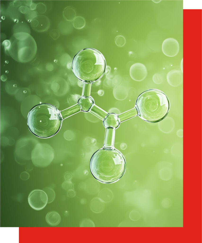 Our Sustainability Pillars